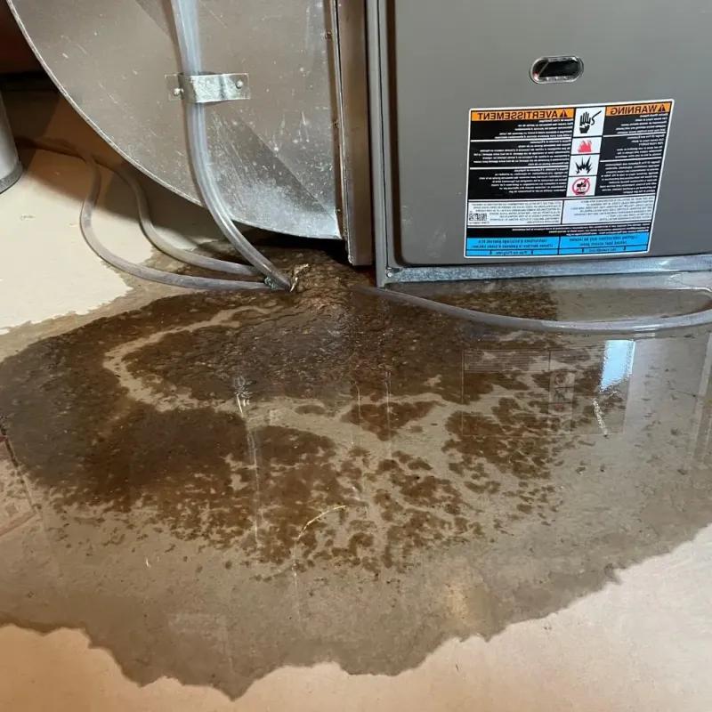 Pipe Burst and Leak Restoration in Spooner, WI